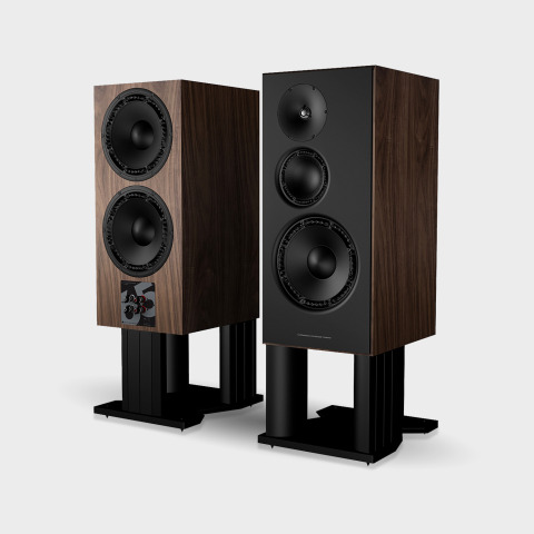 clc65_persp2-bf_walnut_grey2_1.jpg